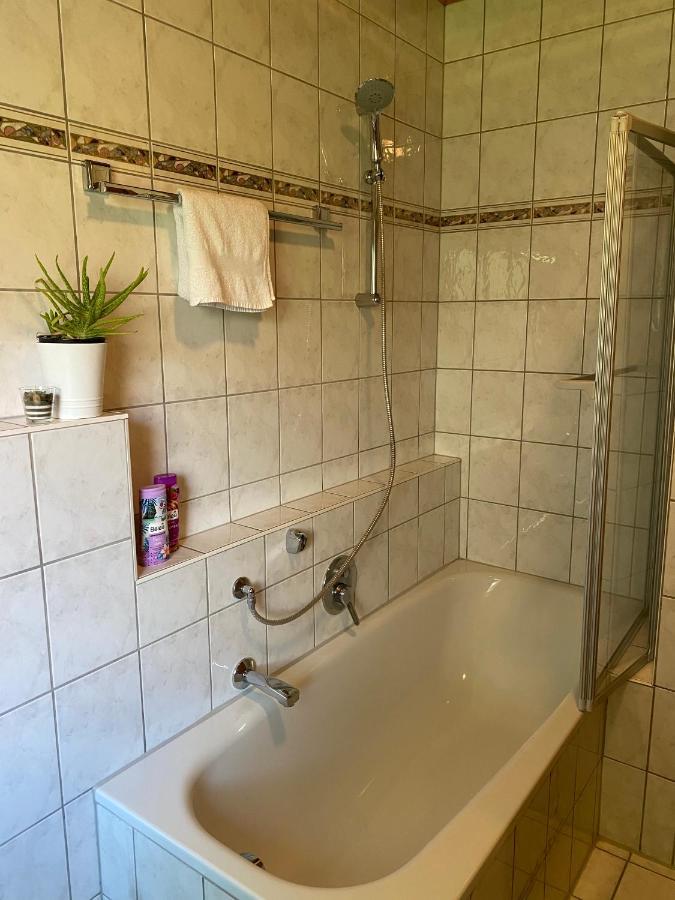Ferienwohnung Wohlsein 프리켄하우젠 암 마인 외부 사진
